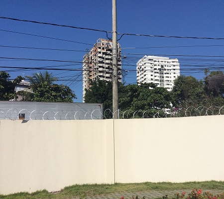Gallery Image 15